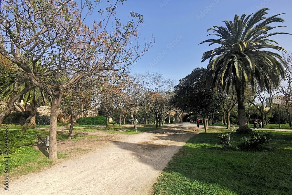 path in the park of the city Valancia