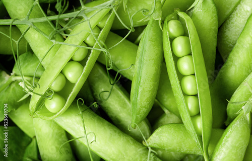 background of fresh green pea pods photo