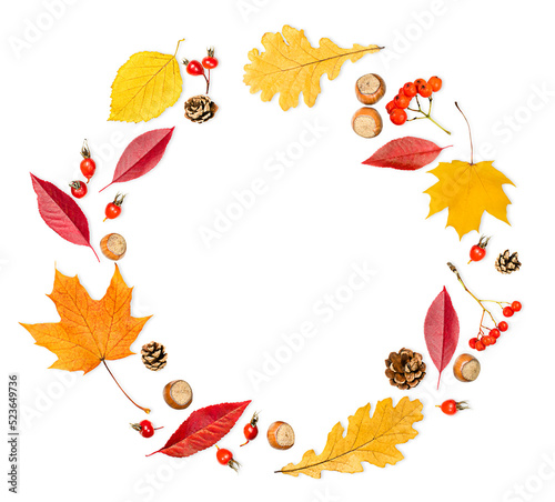 circular autumn composition of oak and maple leaves  berries  nuts and cones on a white isolated background