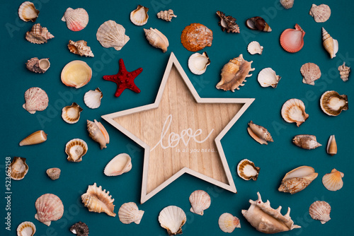 all you need is love star sea concept oyster shell summer creative design
