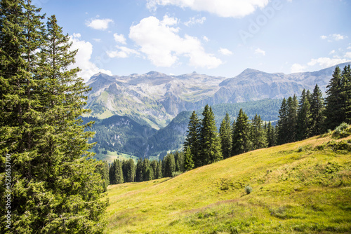 Paysage de montagne