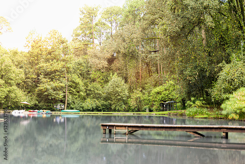 Bosque y lago con muelle de madera