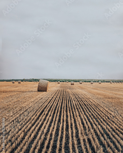 Straw bales outdoors on a warm cloudy summer evening