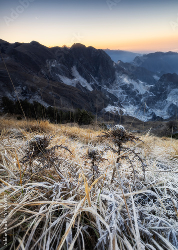 Prima dell'alba invernale, Prati di Campocecina, Massa Carrara, Toscana, Italia, Europa photo