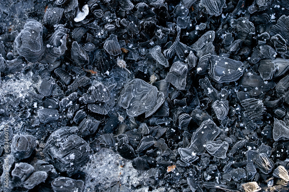 First frosts and colds.coal in hoarfrost close-up.Coal Charcoal in frost background. Frozen coal texture.Heating season First frosts and colds.coal in hoarfrost close-up.Coal Charcoal in frost background. Frozen coal texture.Heating season