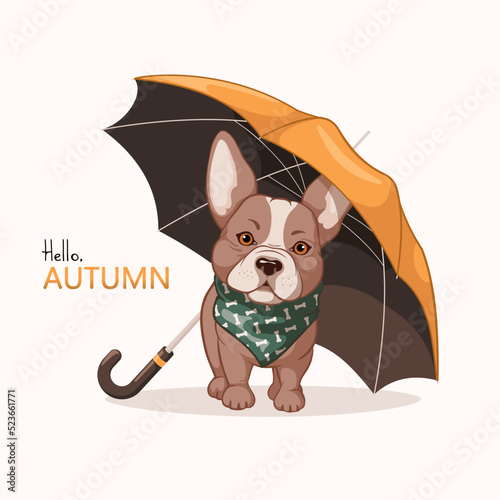 Cute french bulldog puppy wearing a green scarf and holding an orange umbrella. Lettering Hello autumn. Autumn vector illustration on white background. Cartoon character in orange and brown colors