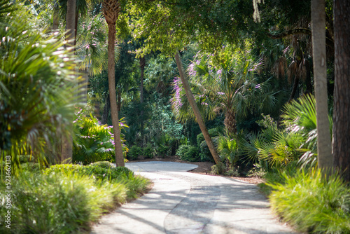 Beautiful trail in Seabrook Island in South Carolina.  photo