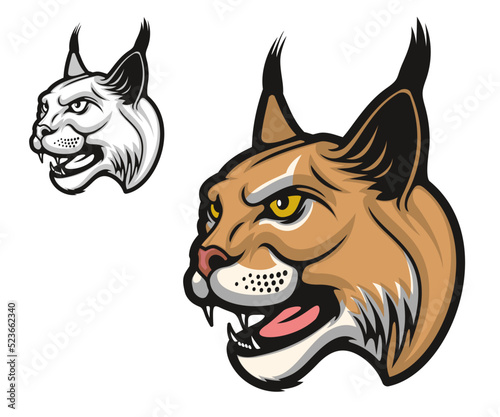 Photography Angry lynx bobcat cartoon animal mascot