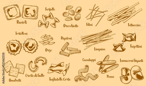 Pasta vector ravioli and farfalle, orecchiette or filini. Fettuccine, orzo, rigatoni, quadretti and creste di gallo. Tagliatelle and penne, linguine, fagottini, cavatappi and tortelloni