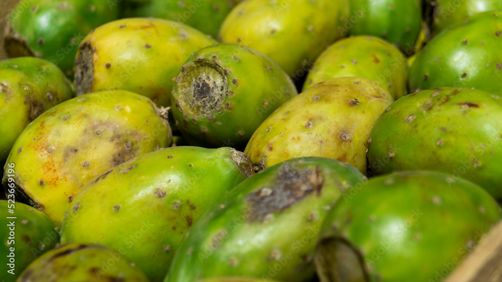 frutos del nopal, tunas,texturas de color verde frutos del nopal, tunas,texturas de color verde