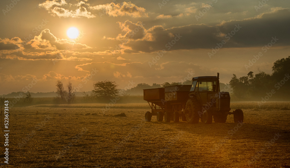 Naklejka premium Harvest Over