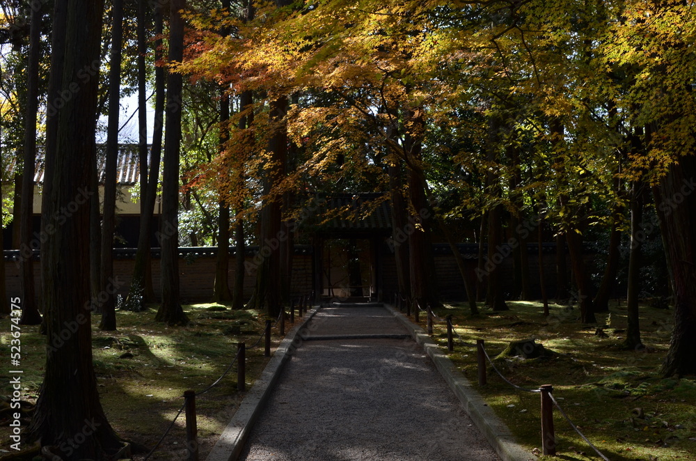 Fototapeta premium 鑑真和上ご霊廟にて 唐招提寺
