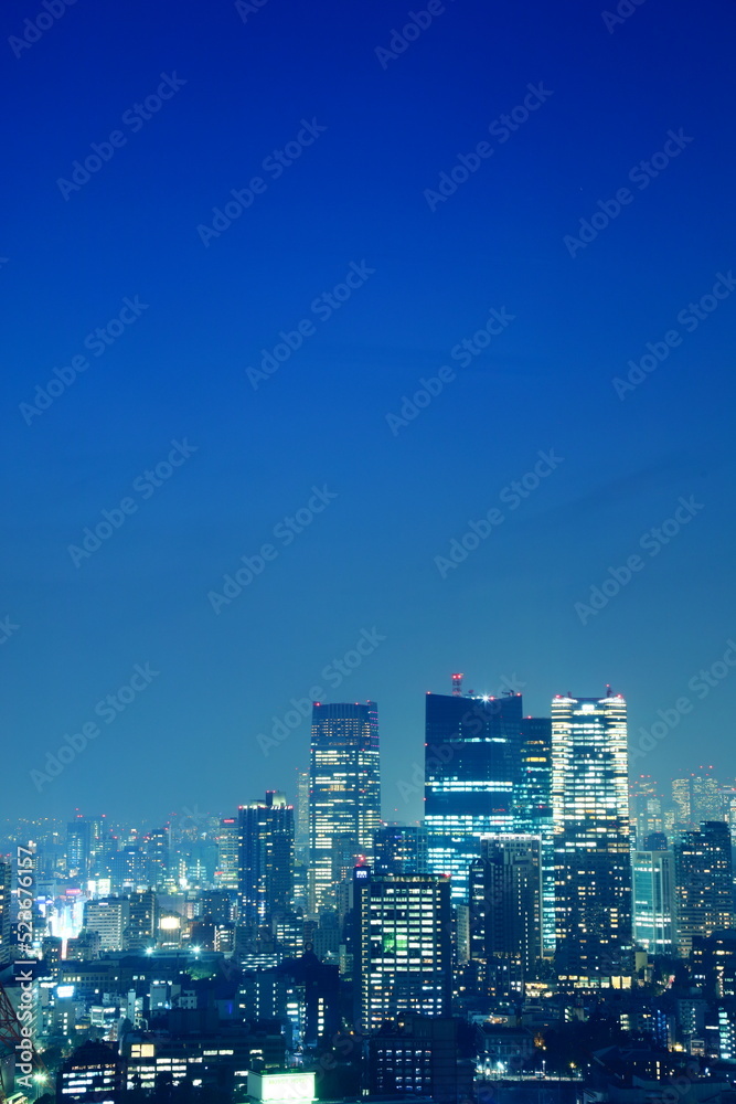 Fototapeta premium Urban area, Midnight, Brightly