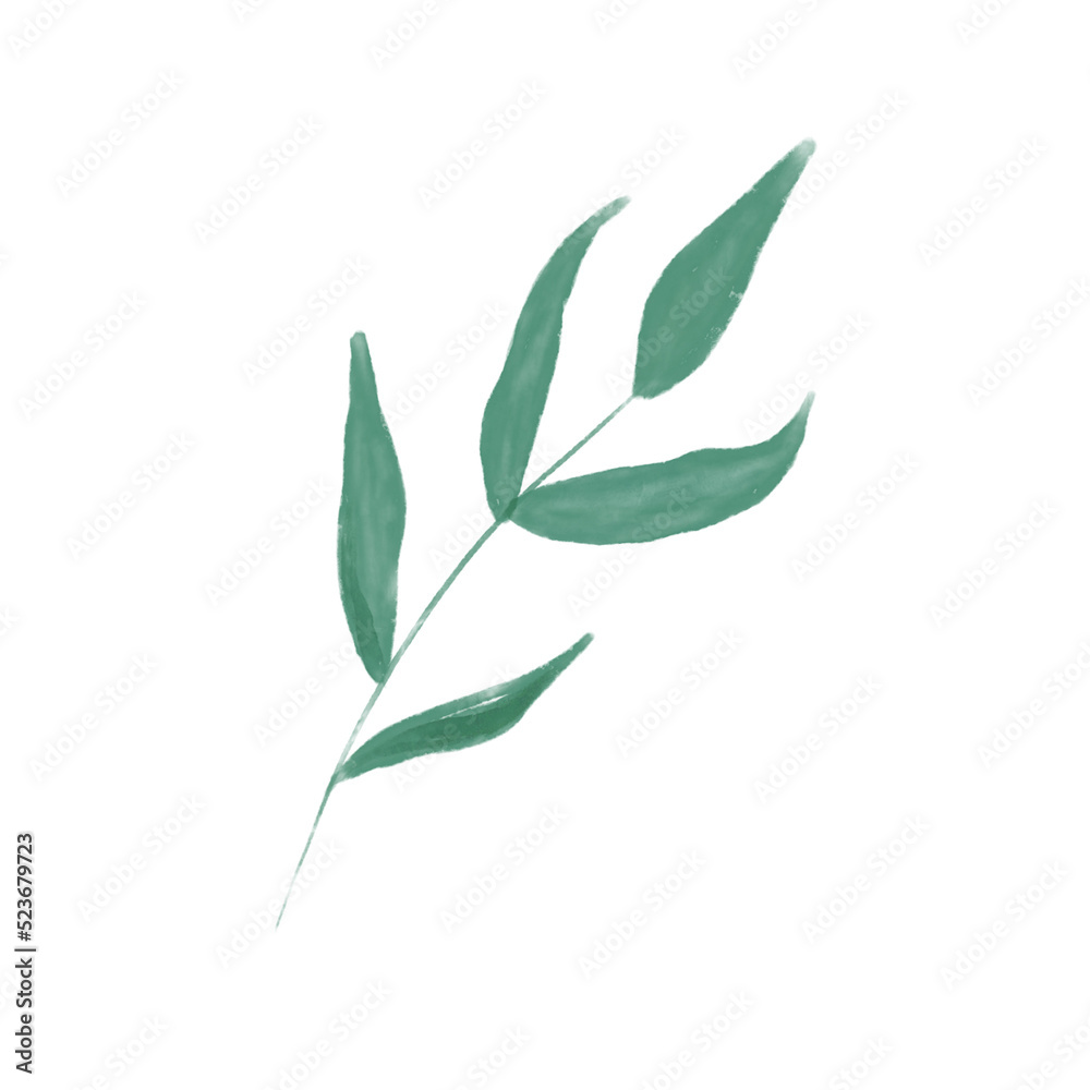 Fototapeta premium green leaves branch watercolor illustration