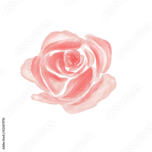 pink rose loose watercolor flower illustration 