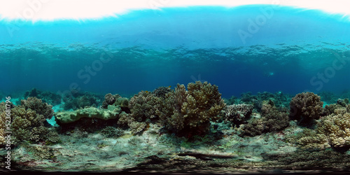 Underwater fish reef marine. Tropical colourful underwater seascape. Philippines. Virtual Reality 360.