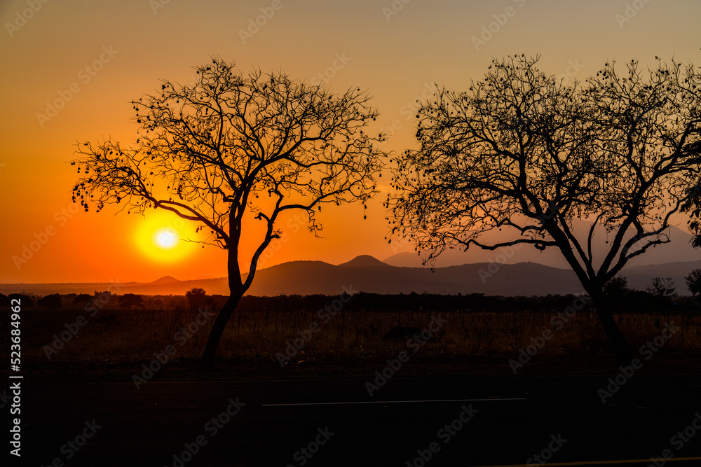 Landscape at the Arusha national park at sunset, Tanzania