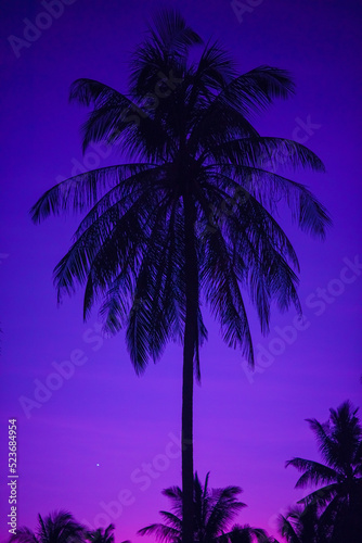 Coconut tree silhouette in the morning or evening. © ธันยกร ไกรสร