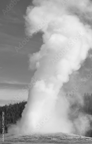 Old Faithful Geyser at Yellowstone National Park