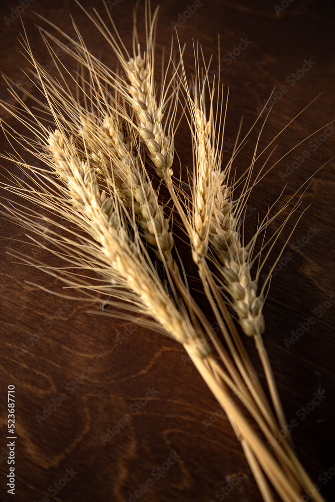 Wheat ears on wooden cracked old table Wheat ears on wooden cracked old table