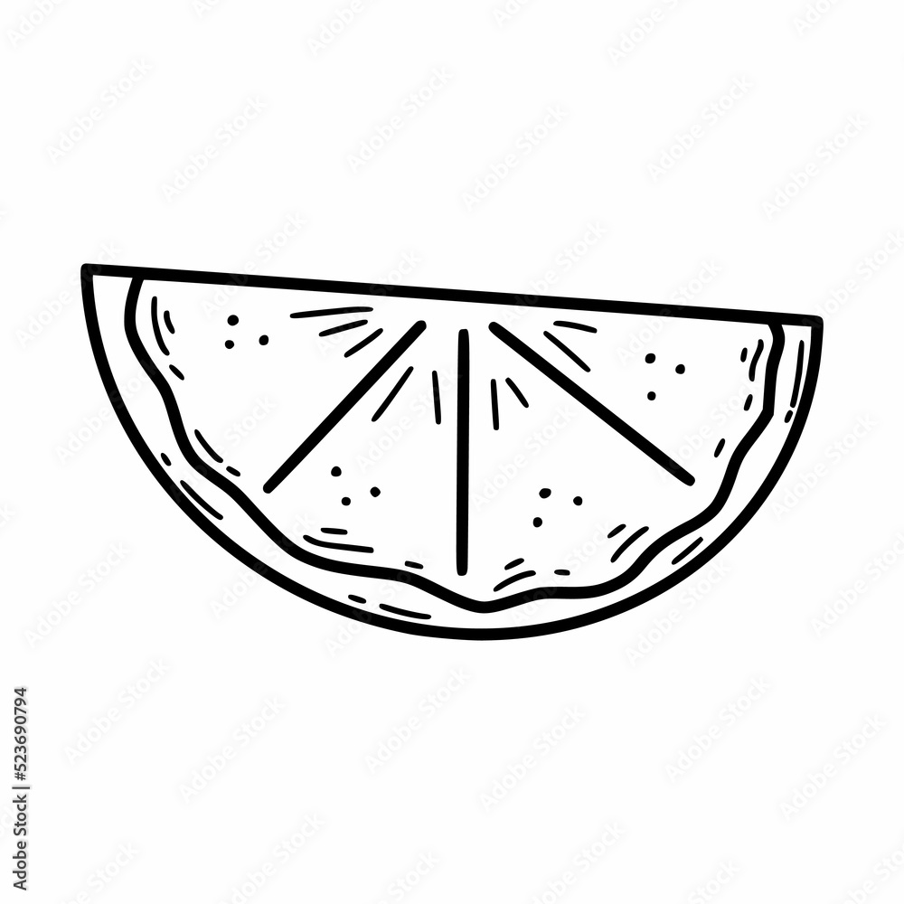 Slice of lemon. Vector doodle illustration. Sketch. Slice of lemon. Vector doodle illustration. Sketch.