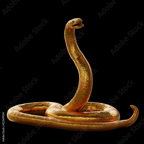 Fotografie golden snake isolated on black background