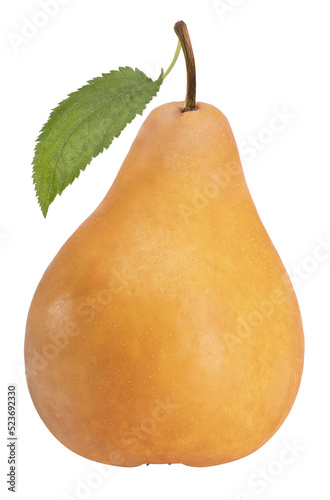 Fresh pears isolated on white background, Brown pear with cut piece on a white with With png file.