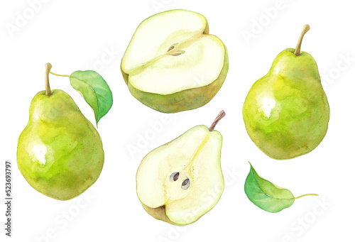 秋のフルーツ：西洋梨の水彩イラスト。エレメントのセット。（透過背景）

