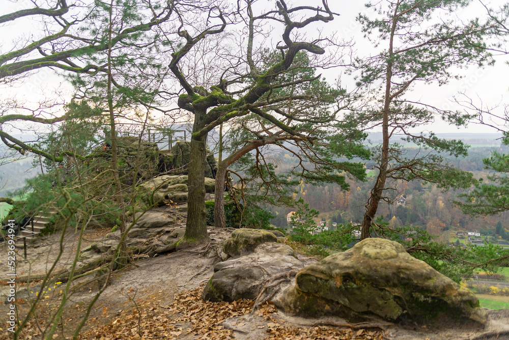 Trees and rocks , autumn. Bohemian Saxony. Mountains and mountainous areas. Views.