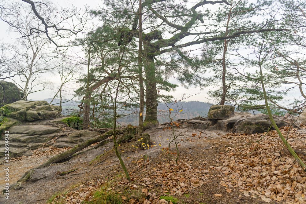 Trees and rocks , autumn. Bohemian Saxony. Mountains and mountainous areas. Views.