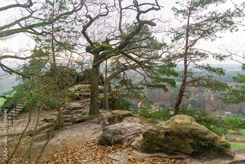 Trees and rocks , autumn. Bohemian Saxony. Mountains and mountainous areas. Views. 