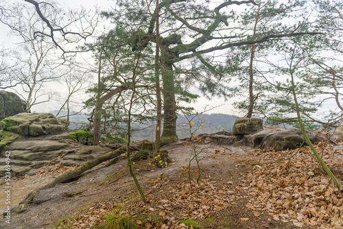 Obraz na płótnie Trees and rocks , autumn. Bohemian Saxony. Mountains and mountainous areas. Views. w salonie