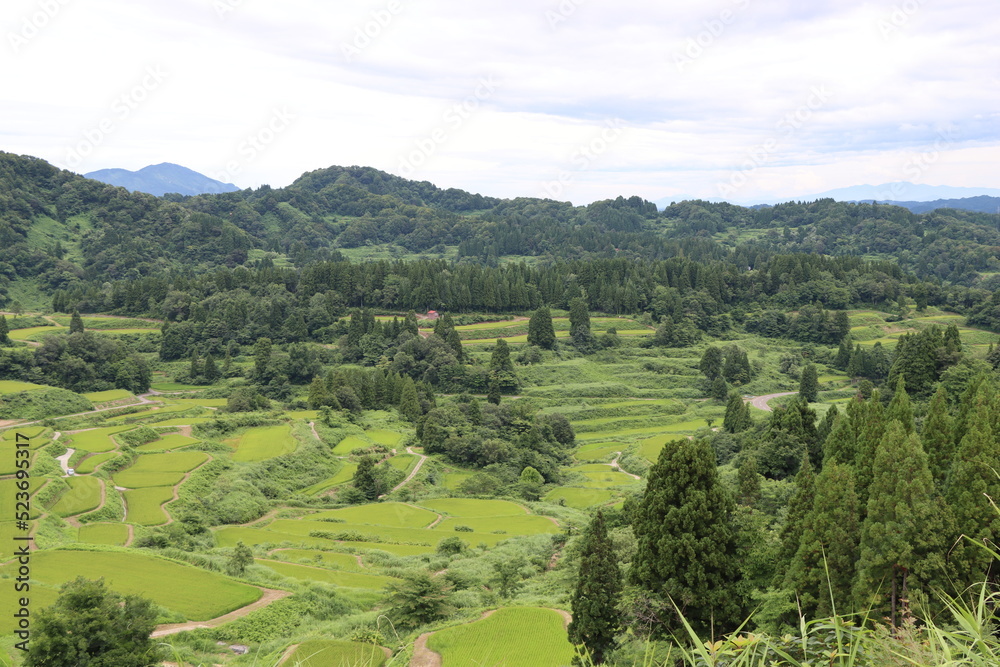 日本の原風景ｉｎ新潟県