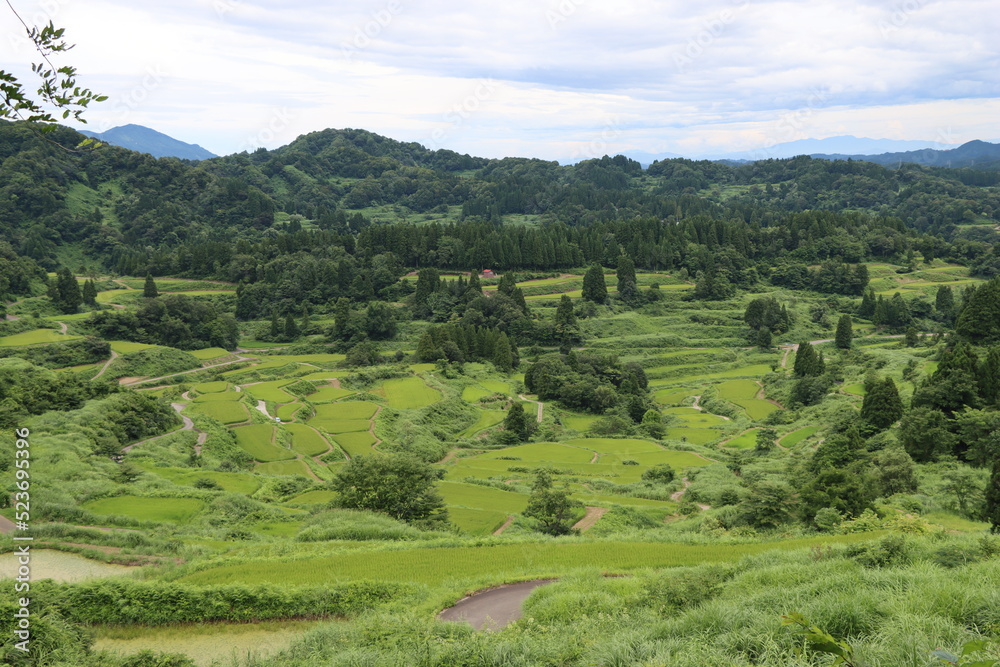 日本の田風景ｉｎ新潟県