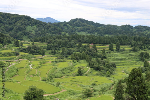 日本の田風景ｉｎ新潟県