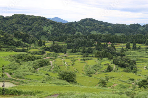 日本の田風景ｉｎ新潟県