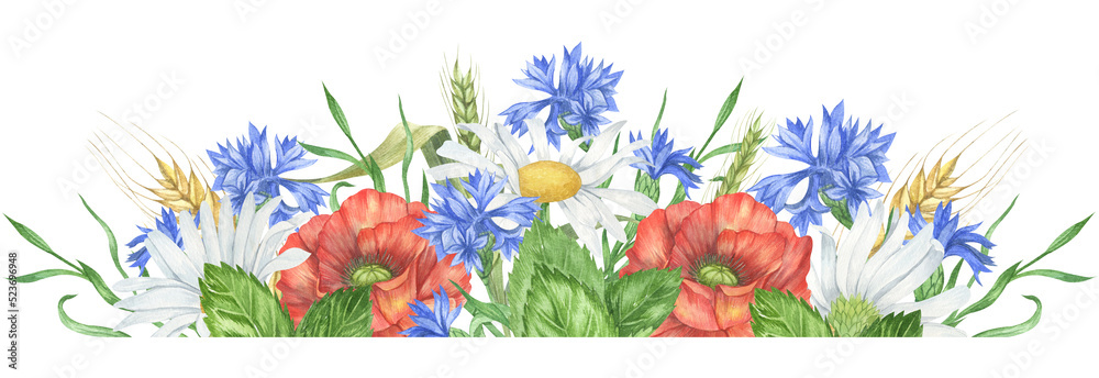 Watercolor wildflowers borders, daisy and poppy arrangements, compositions