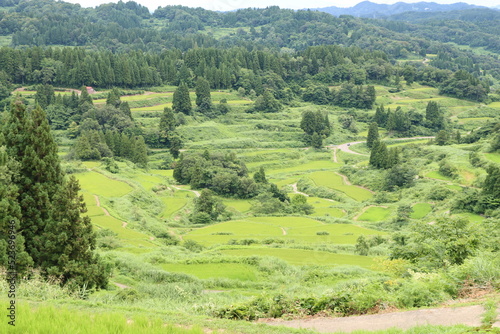 日本の田風景ｉｎ新潟県