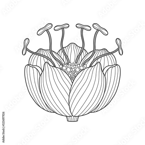Art nouveau style basic flower element. 1920-1930 years vintage design. Symbol motif design. Isolated on white.