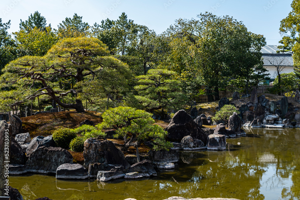Fototapeta premium Traditional Japanese Garden with Pond and Pine Trees in Arashiyama, Kyoto