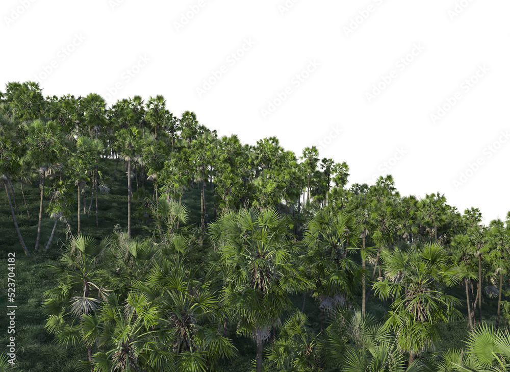 Palm garden on a transparent background
Palm garden on a transparent background