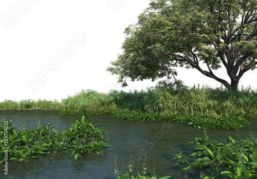 Large trees by the canal on a transparent background 