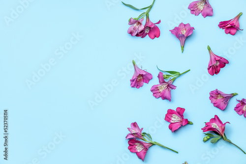 Beautiful alstroemeria flow...