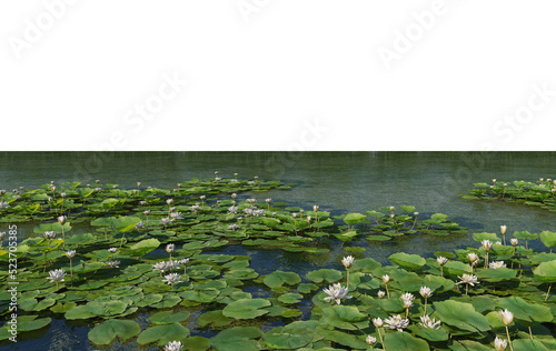 Plants in the river on a transparent background  © jomphon