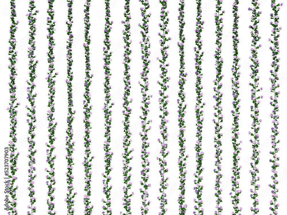 3d Render Ivy Plants Isolated on white 3d Render Ivy Plants Isolated on white