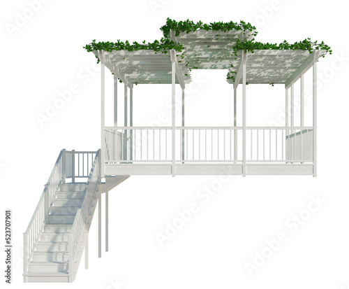 3d Render Ivy Plants Isolated  on white