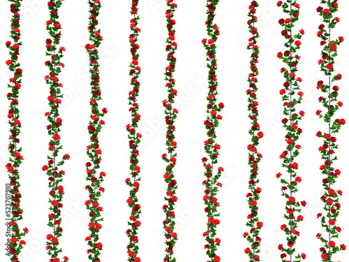 3d Render Ivy Plants Isolated  on white