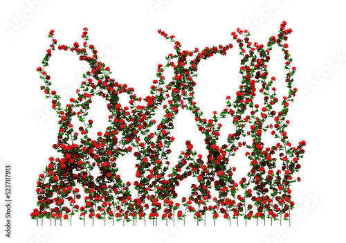 3d Render Ivy Plants Isolated  on white