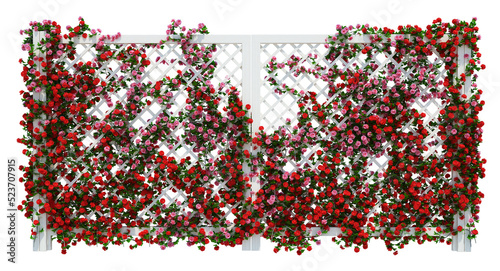 3d Render Ivy Plants Isolated  on white