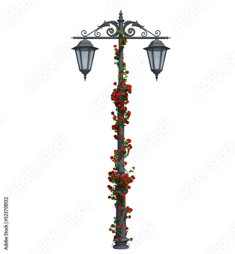 3d Render Ivy Plants Isolated  on white